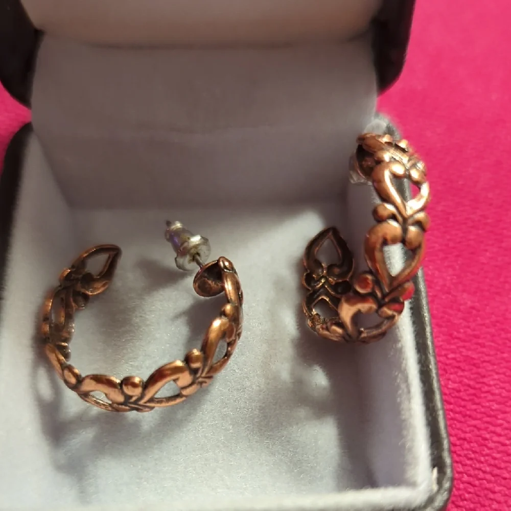 Elegant Bronze Hoop Earrings